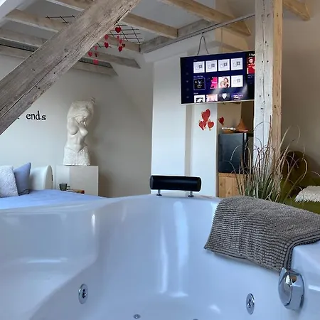 Wellness Mit Whirlpool Am Stadtrand Von Appartement