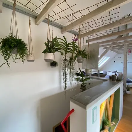 Wellness Suiten Mit Whirlpool Am Stadtrand Von Essen 아파트