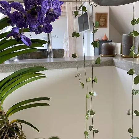 아파트 Wellness Suiten Mit Whirlpool Am Stadtrand Von Essen *