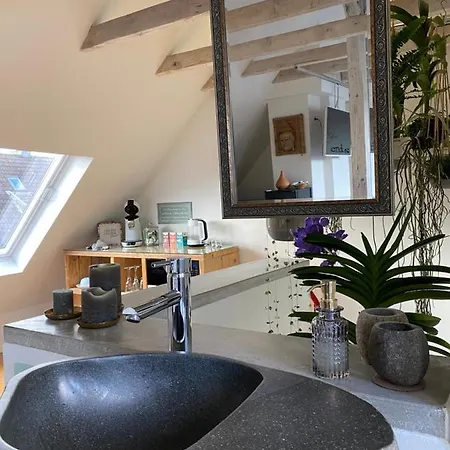 Apartment Wellness Suiten Mit Whirlpool Am Stadtrand Von Essen *