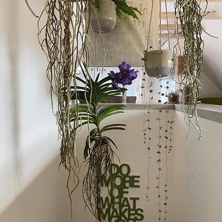 Apartment Private Wellness Mit Whirlpool