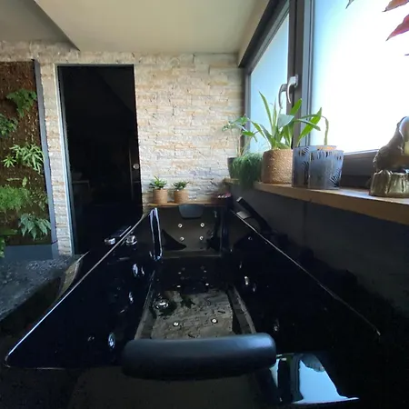 Appartement Wellness Mit Whirlpool Am Stadtrand Von Essen