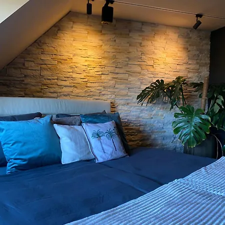 아파트 Wellness Suiten Mit Whirlpool Am Stadtrand Von Essen *