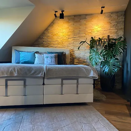 Wellness Mit Whirlpool Am Stadtrand Von Appartement