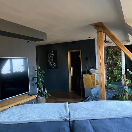 Wellness Suiten Mit Whirlpool Am Stadtrand Von Essen *