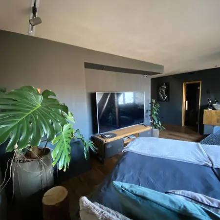 Wellness Mit Whirlpool Am Stadtrand Von Appartement *