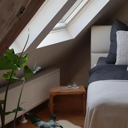 Wellness Mit Whirlpool Am Stadtrand Von Apartment