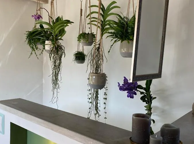 Wellness Mit Whirlpool Am Stadtrand Von *