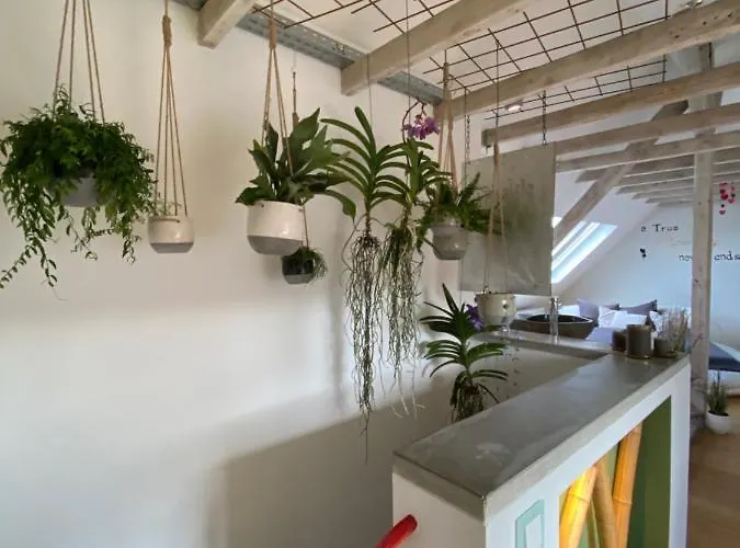 Wellness Mit Whirlpool Am Stadtrand Von Appartement