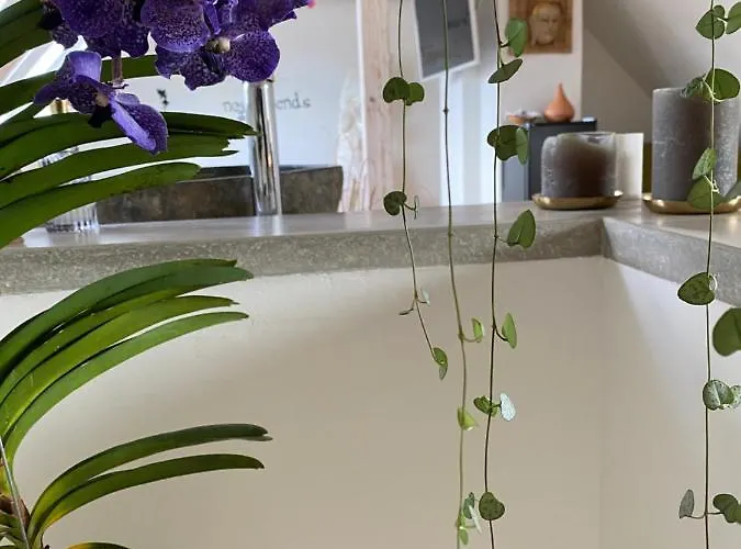 Διαμέρισμα Wellness Mit Whirlpool Am Stadtrand Von *