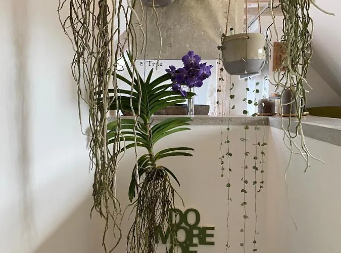 Διαμέρισμα Wellness Mit Whirlpool Am Stadtrand Von