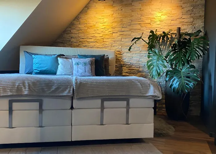 Wellness Mit Whirlpool Am Stadtrand Von Apartment