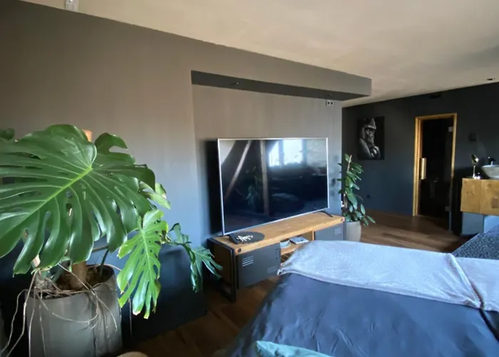 Wellness Mit Whirlpool Am Stadtrand Von Apartment *