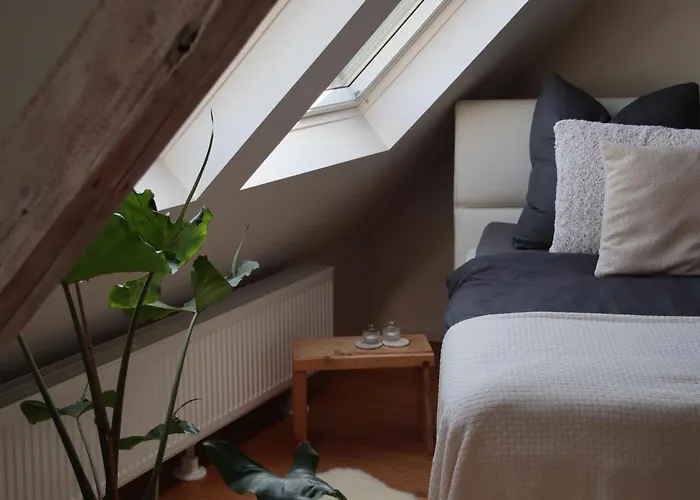 Wellness Mit Whirlpool Am Stadtrand Von Apartment